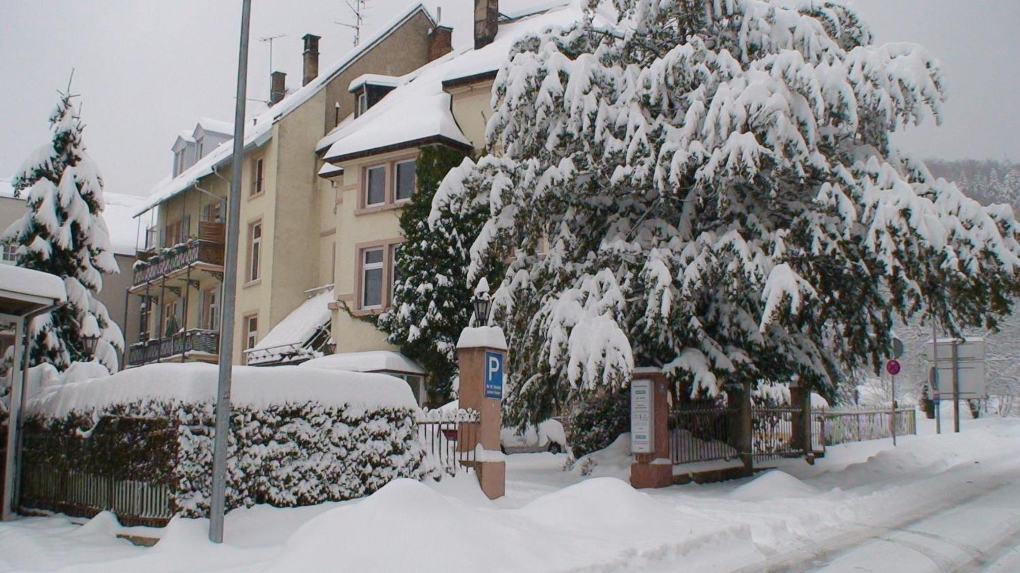 Am Festspielhaus Apartment *